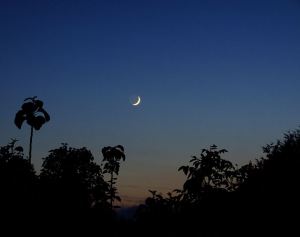 Crescent_Moon_(2558144570)