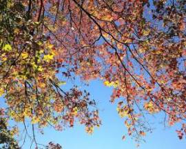 535001_10201384038456502_1470889600_n