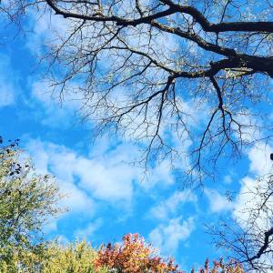 10665120_10206556329240539_8534250178254214982_n